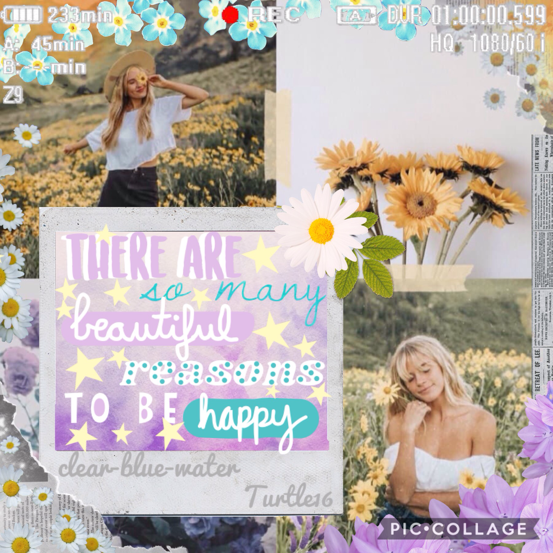 💜T A P💜
Collab with the amazing and talented Turtle16. Sh did the background and some pngs and I did the text and more pngs
QOTD: Who had your favorite Coachella outfit?
AOTD: LaurDIY or Emma Chamberlain 
