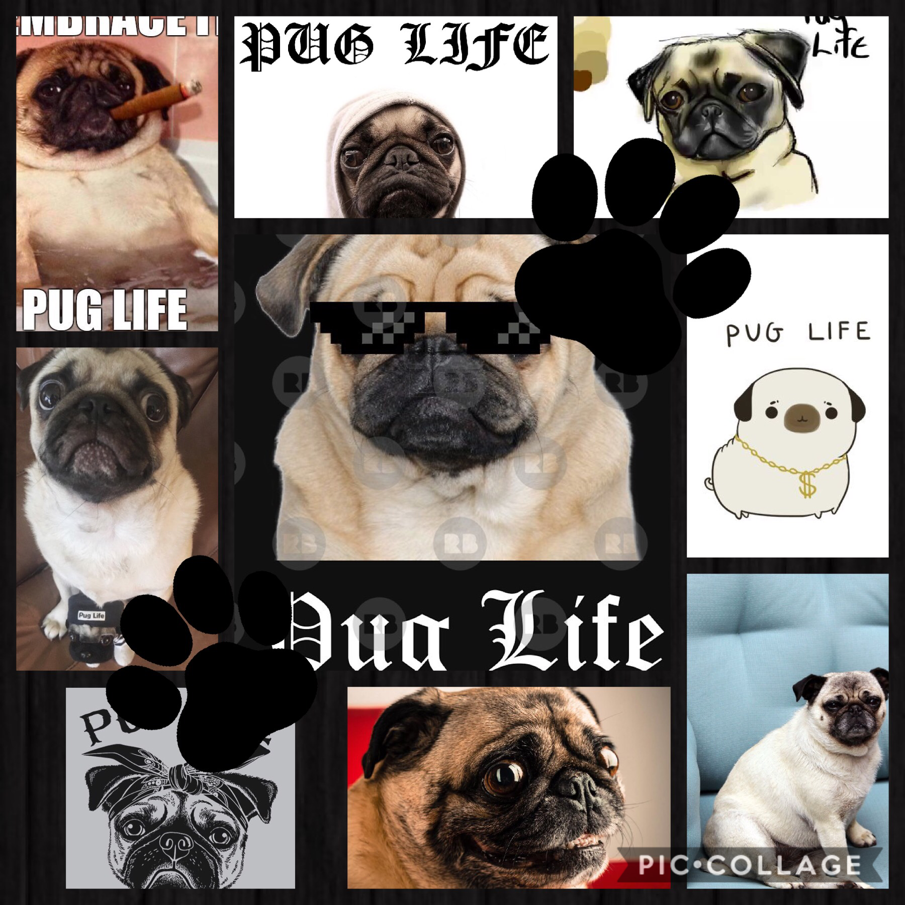 Pug Life.