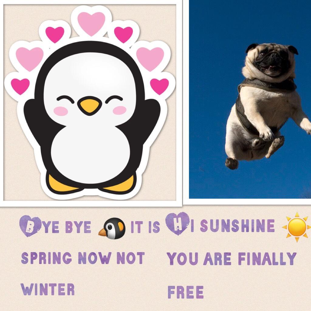 Hi sunshine ☀️ you are finally free 