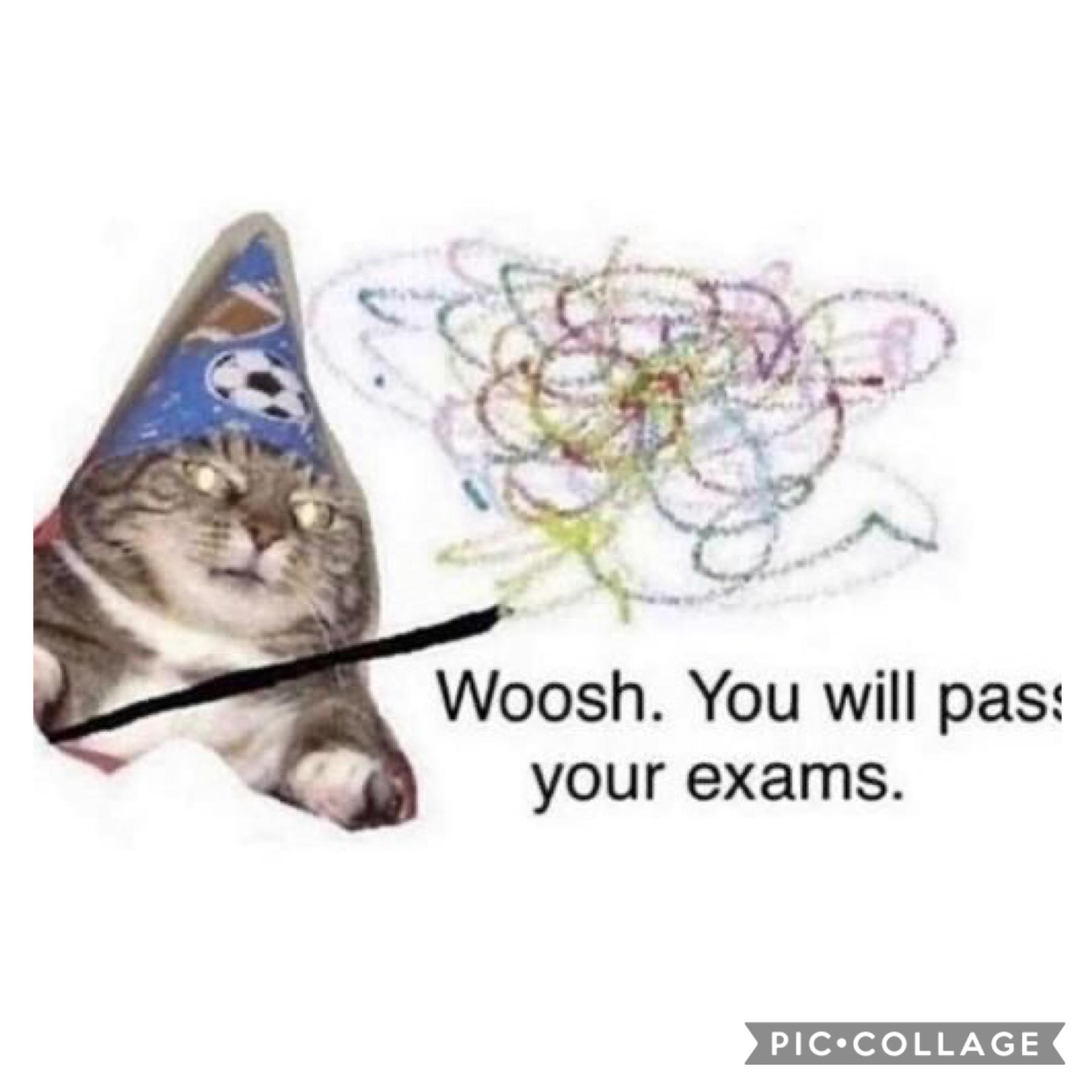 ik a lot of you finished exams already (i hope y’all did well) but goodluck to everyone else who hasn’t