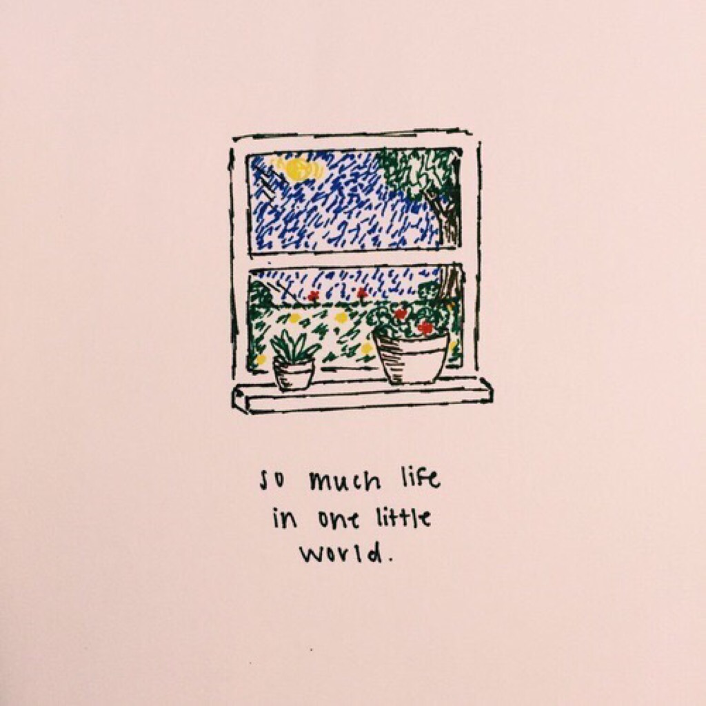🌻 so much life in a little world ✨🌿
