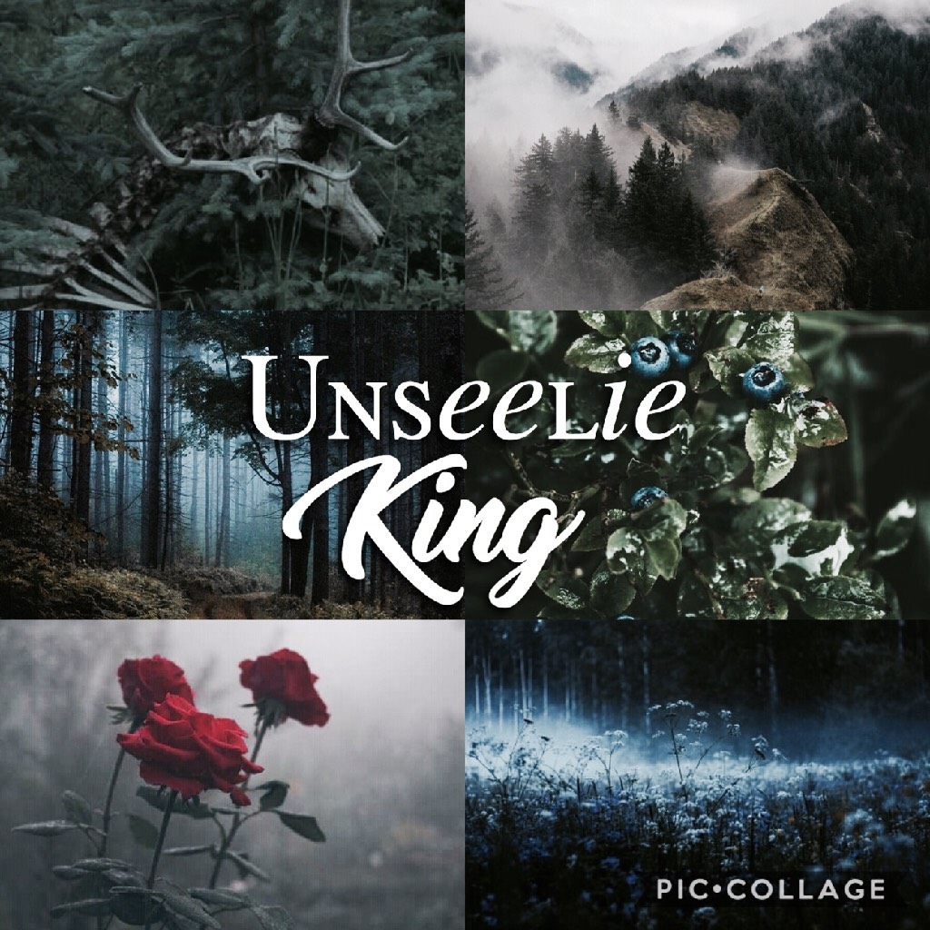 🌲TAP🌲
🌲ABC Shadowhunters Theme🌲
🌲U is for Unseelie King🌲
🌲Okay the rest of these are going up today because I am tired of this theme. 😂 Anyone else?🌲