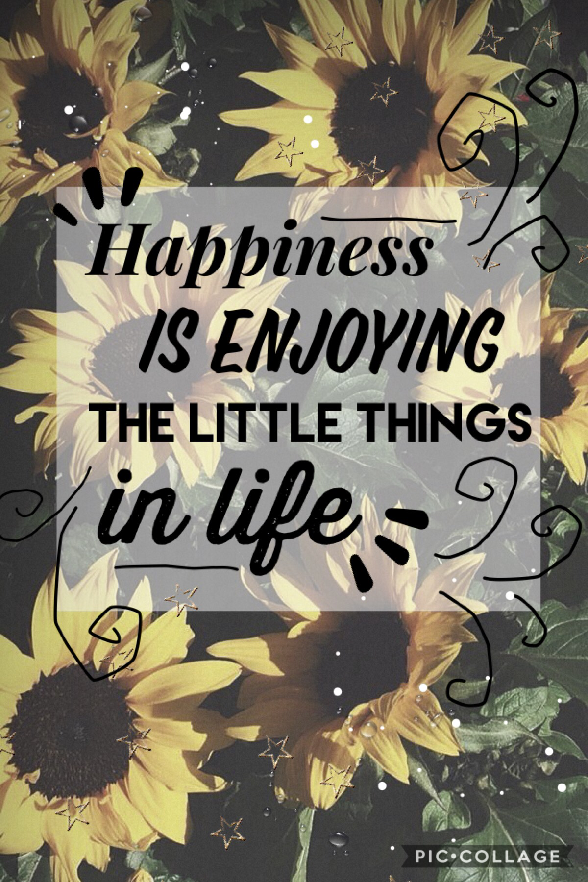 🌻Happiness is enjoying the little things in life. 🌻
