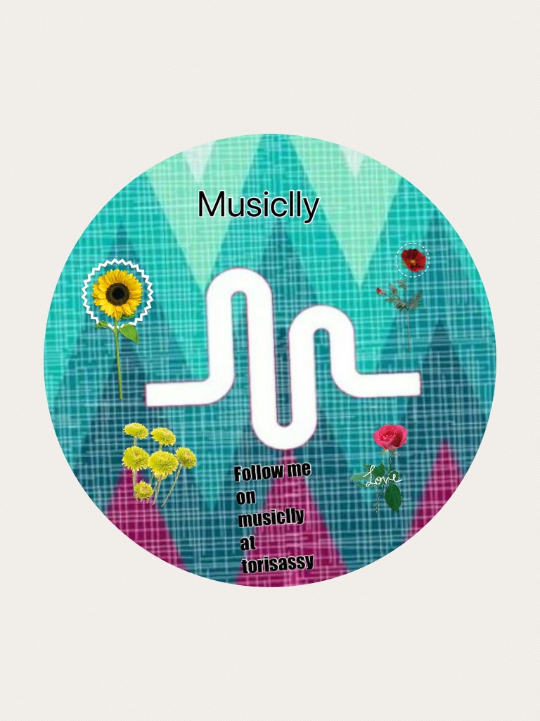 Follow me on musiclly @torisassy plz