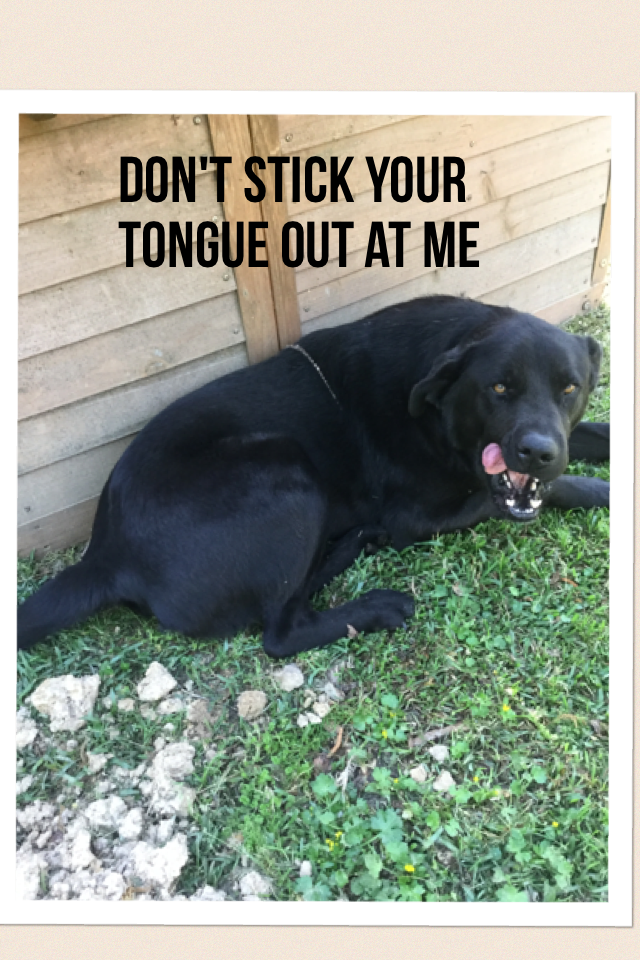 Don't stick your tongue out at me!