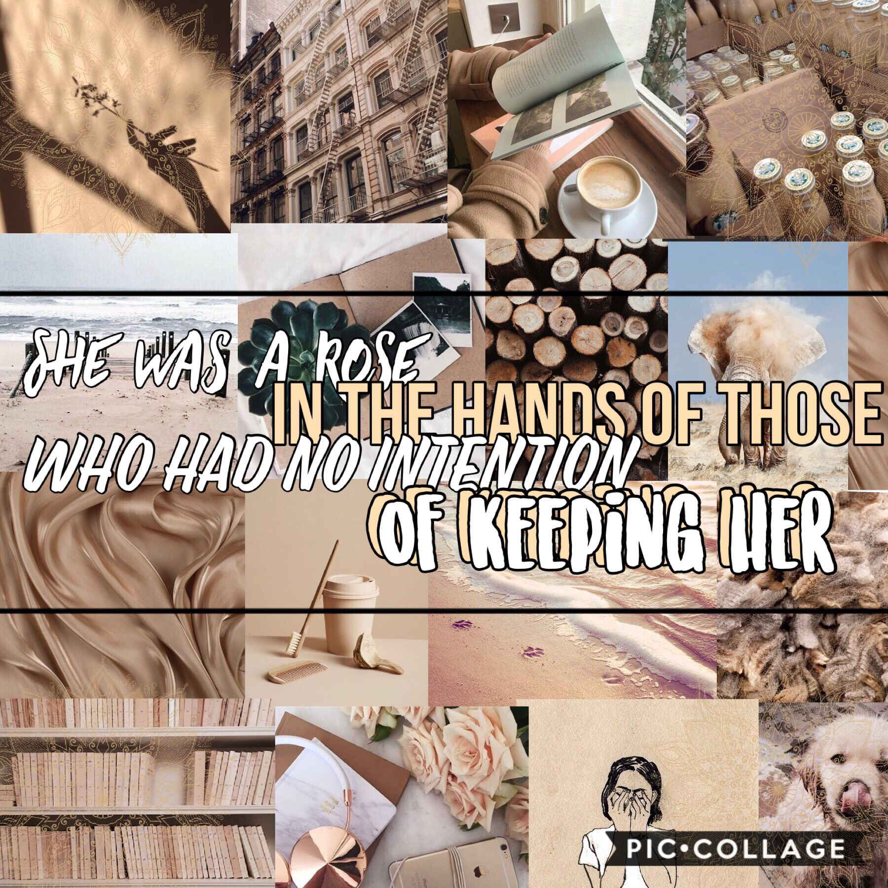 Hey guys!!!!❤️🦄😍😘🥳😜😊I tried out a different style on this one, I hope you like it!❤️❤️❤️❤️I really like the quote though!😁 QOTD: Do you like beige??😝 AOTD: Kind of!☺️