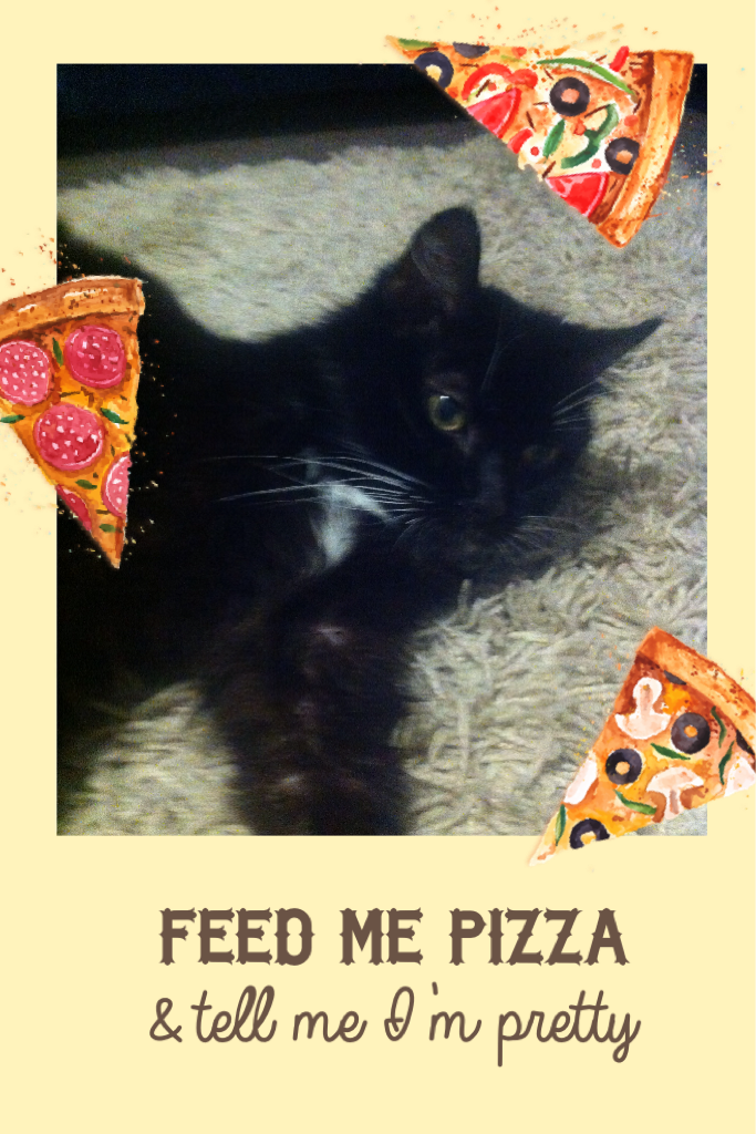 My cat wants pizza
