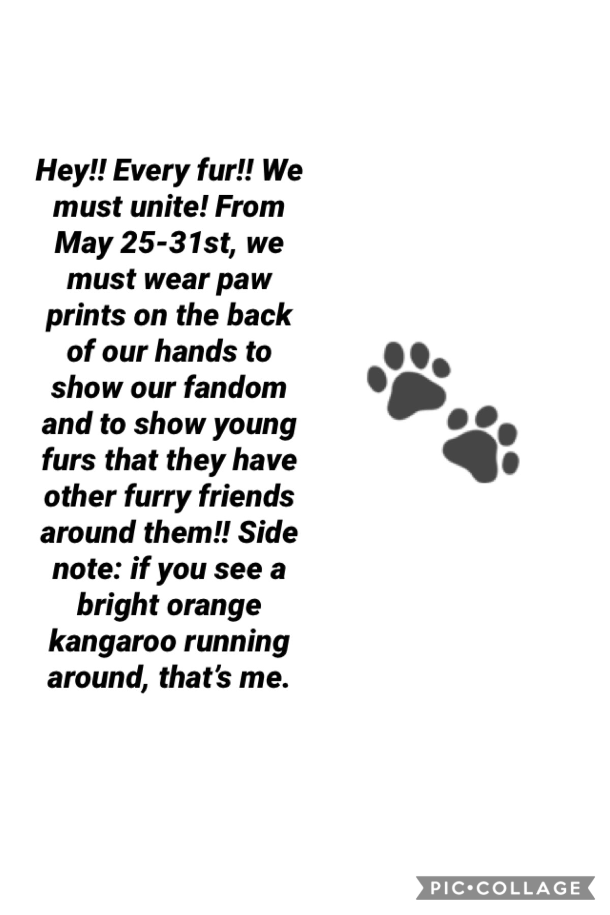 Join me in this noble cause to show young furs alone in the fandom that they have friends around them!! Also, tell people about this please. It be a big help. Thx for reading!!