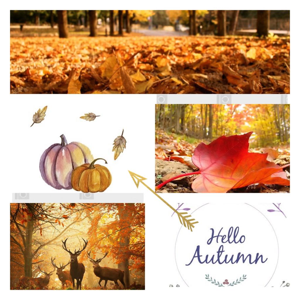 Hello autumn!! 🏞