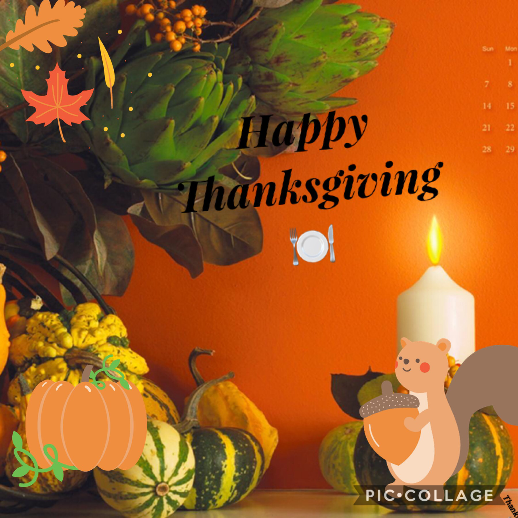 Happy Thanksgiving Everyone!! 🍽