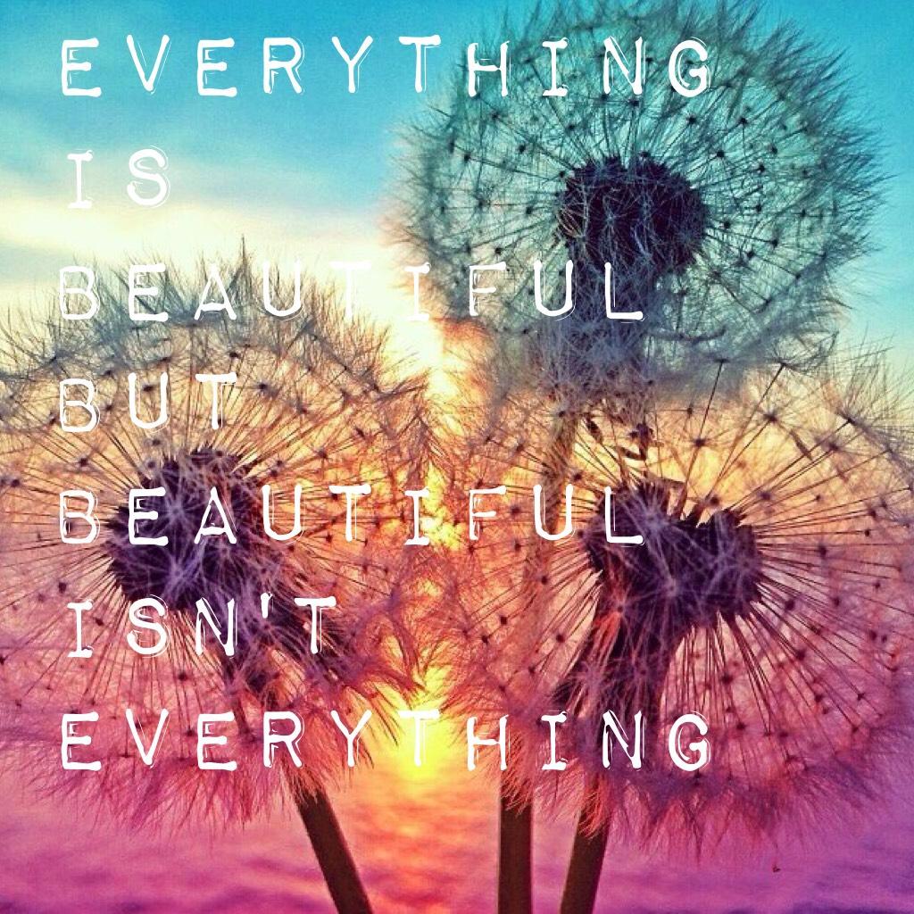 Everything is beautiful but beautiful isn't everything 