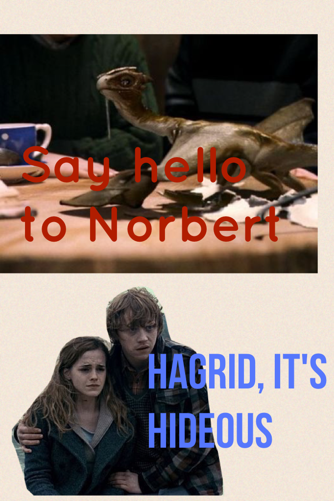I saw these two pics in my collected folder and had to make this, I don't really think Norbert is really hideous, I think he's cute😇