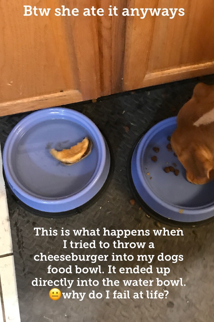 Now I call this the cheeseburger incident. 