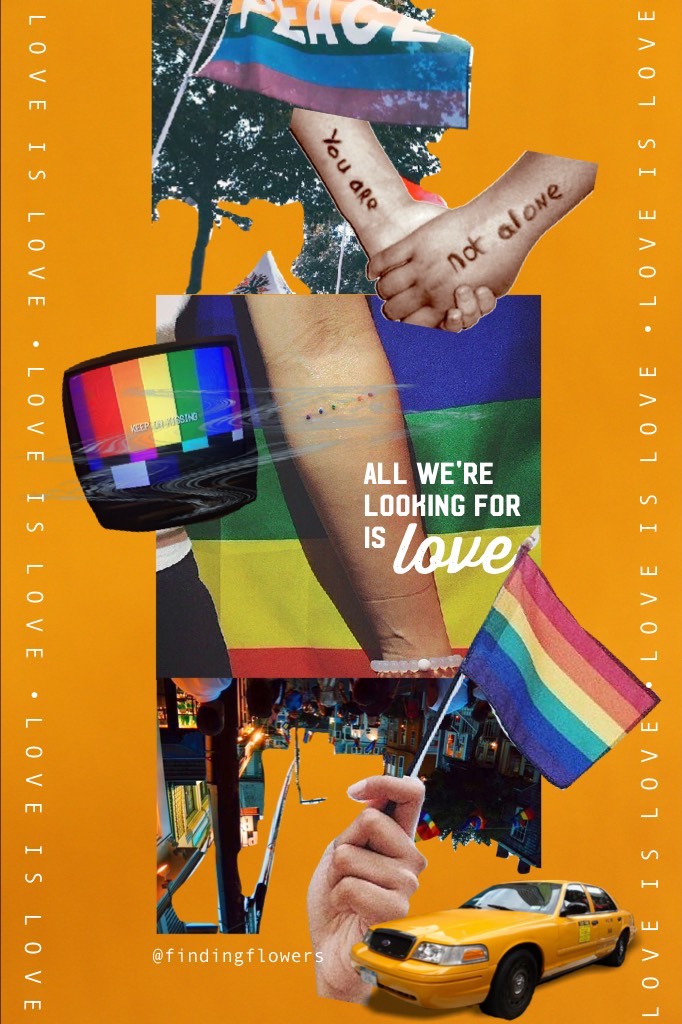 My entry for the pride contest! (feat. a quote from City of Stars because I'm actual La La Land trash). Please like the collage in the responses of the contest! It would mean a lot!! Thanx my friends. Stay proud, stay safe. 🏳️‍🌈