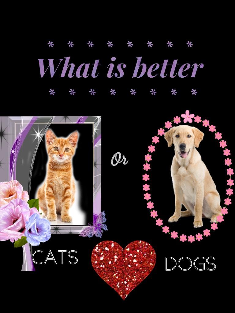 What do you think is better?
Dogs or Cats