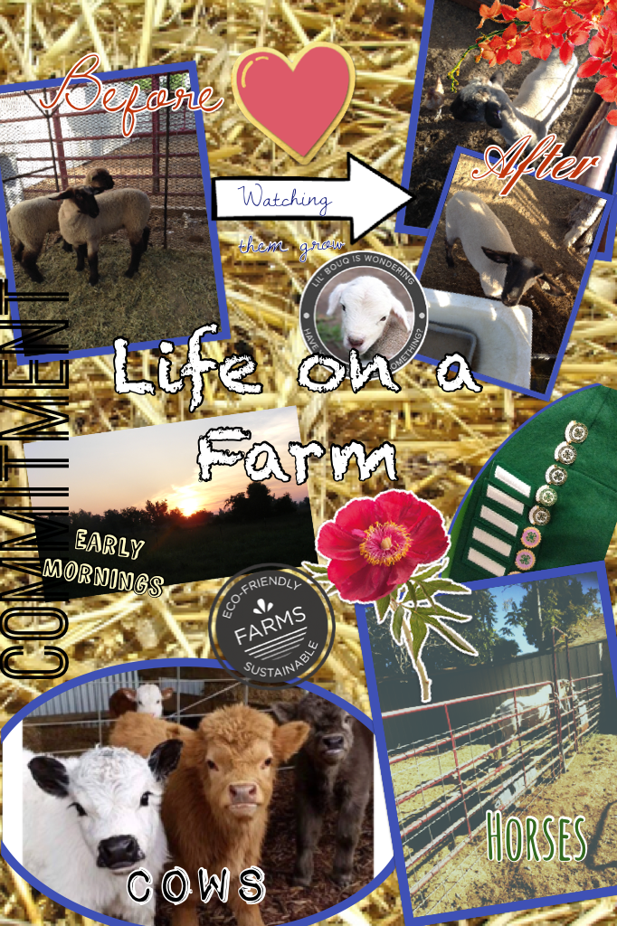 I love my farm. It's part of who I am. Go express who you are!