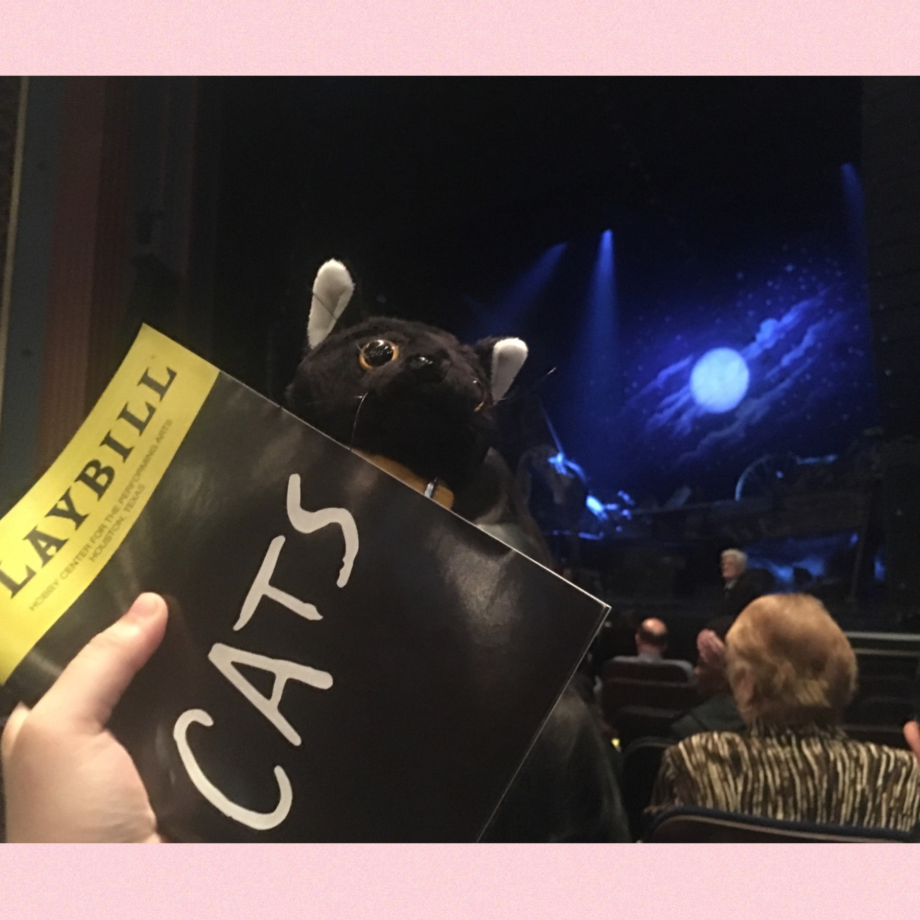 I saw cats and now I’m h0rñ y 