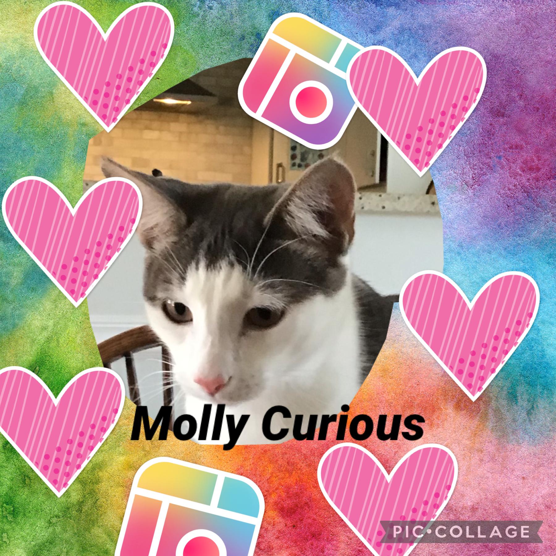 😺Tap😺

This is our PFP! If you want to make one for us to use in the future, remix and make!