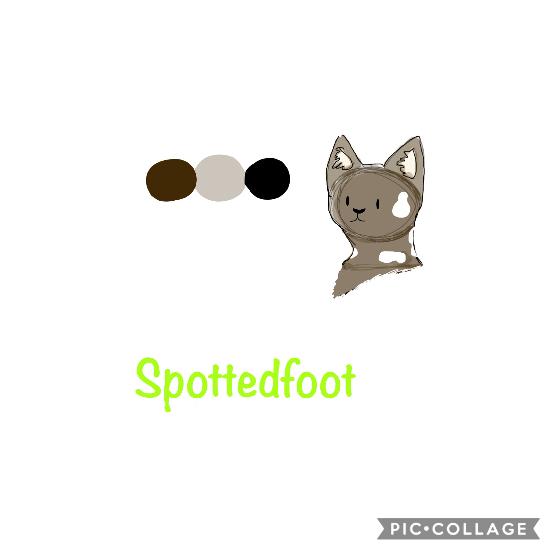 So um I thought I’d do a Warrior OC... and I had no time so it’s pretty bad but that’s ok
Spottedfoot is a large brown tabby tom with white paws. From RiverClan, and has roots in ThunderClan , with Brambleclaw as his great great grandfather.