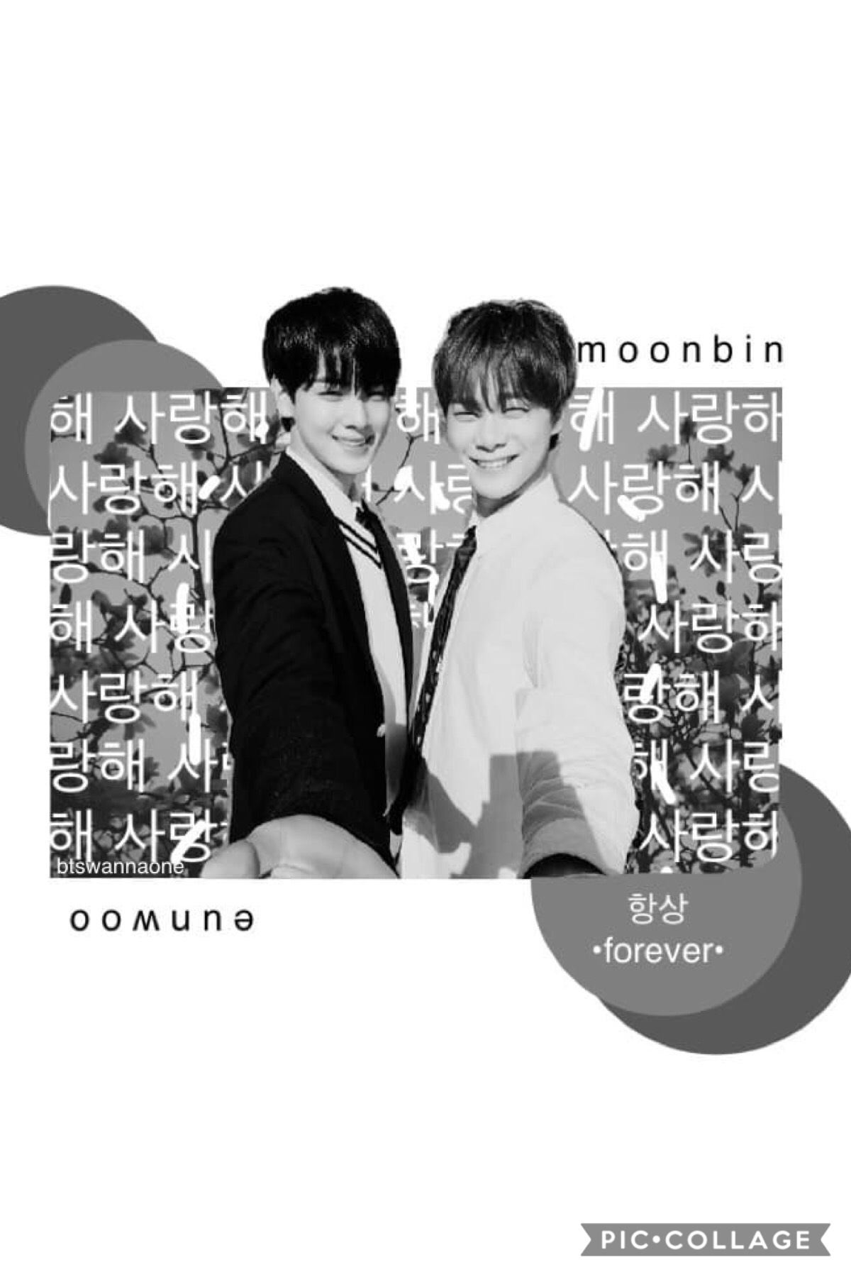tap
And edit I made for a @jizzle_pwark’s kpop games 💖 Moonbin and Eunwoo from ASTRO