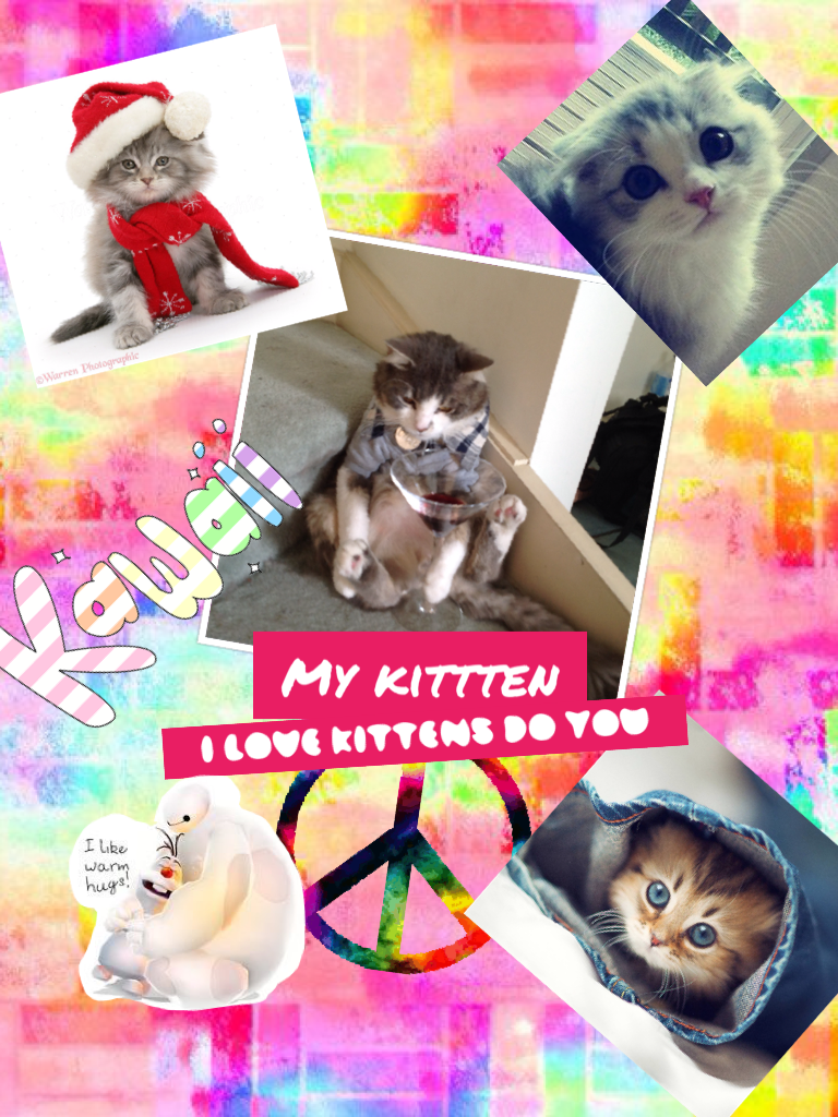 KEEP CLAM AND LOVE KITTENS