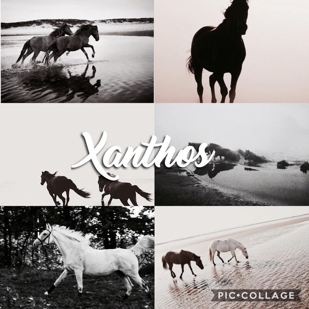 🐎TAP🐎
🐎ABC Shadowhunters Theme🐎
🐎X is for Xanthos🐎
