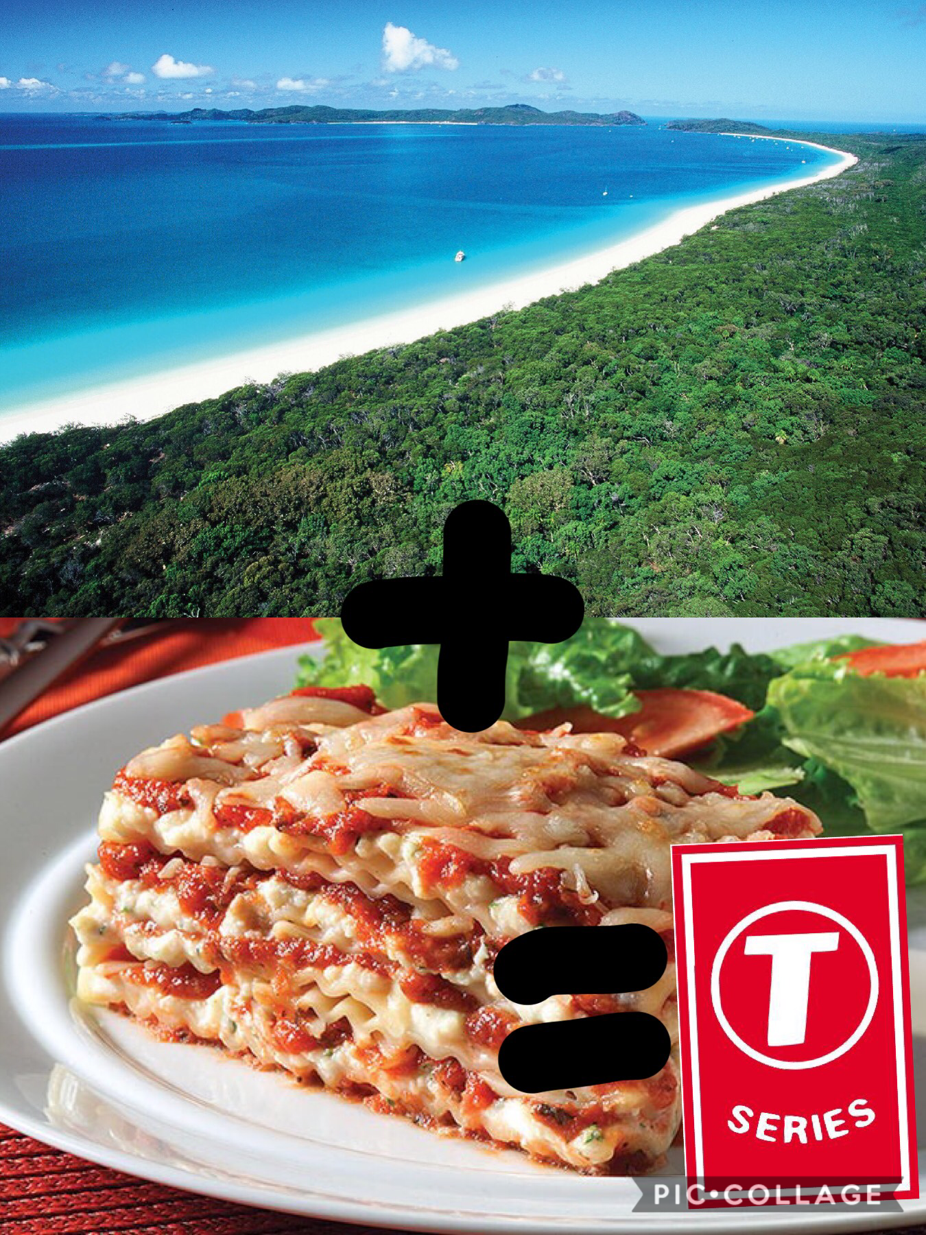 Beach+lasagna=tseries
