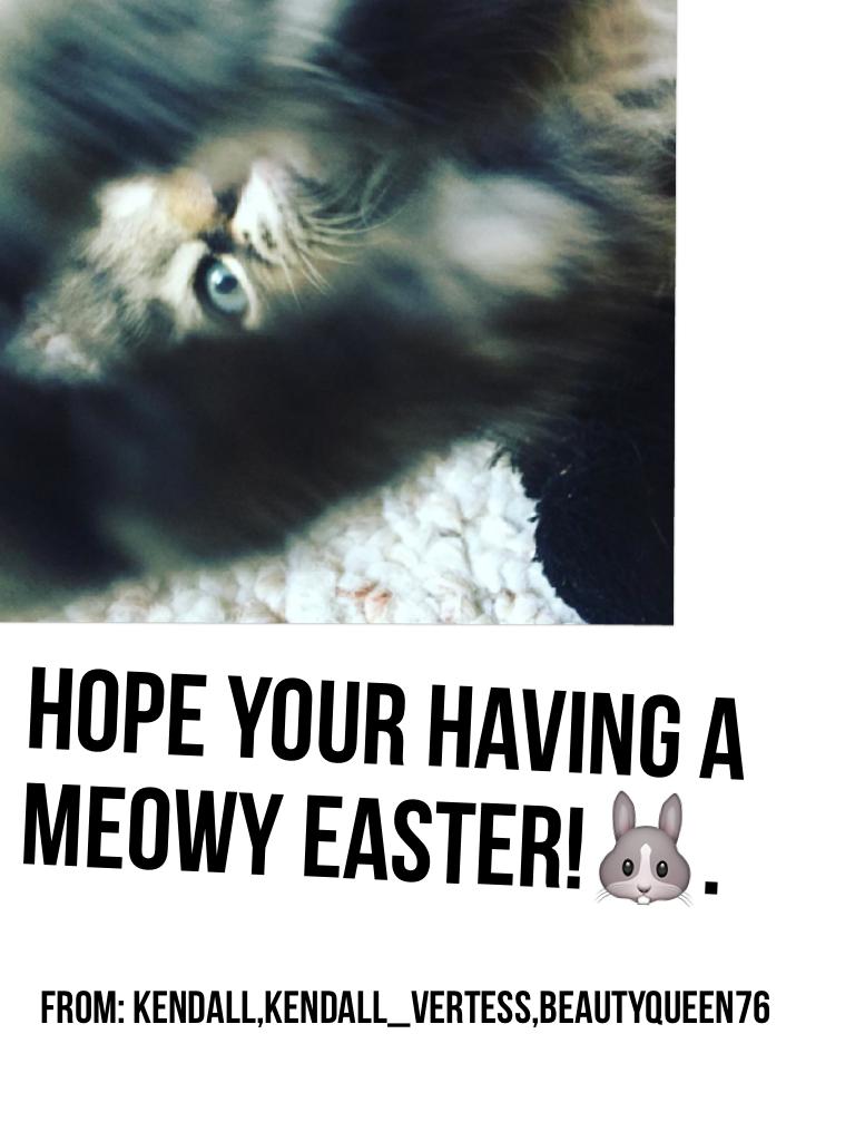 Hope your having a meowy easter!🐰