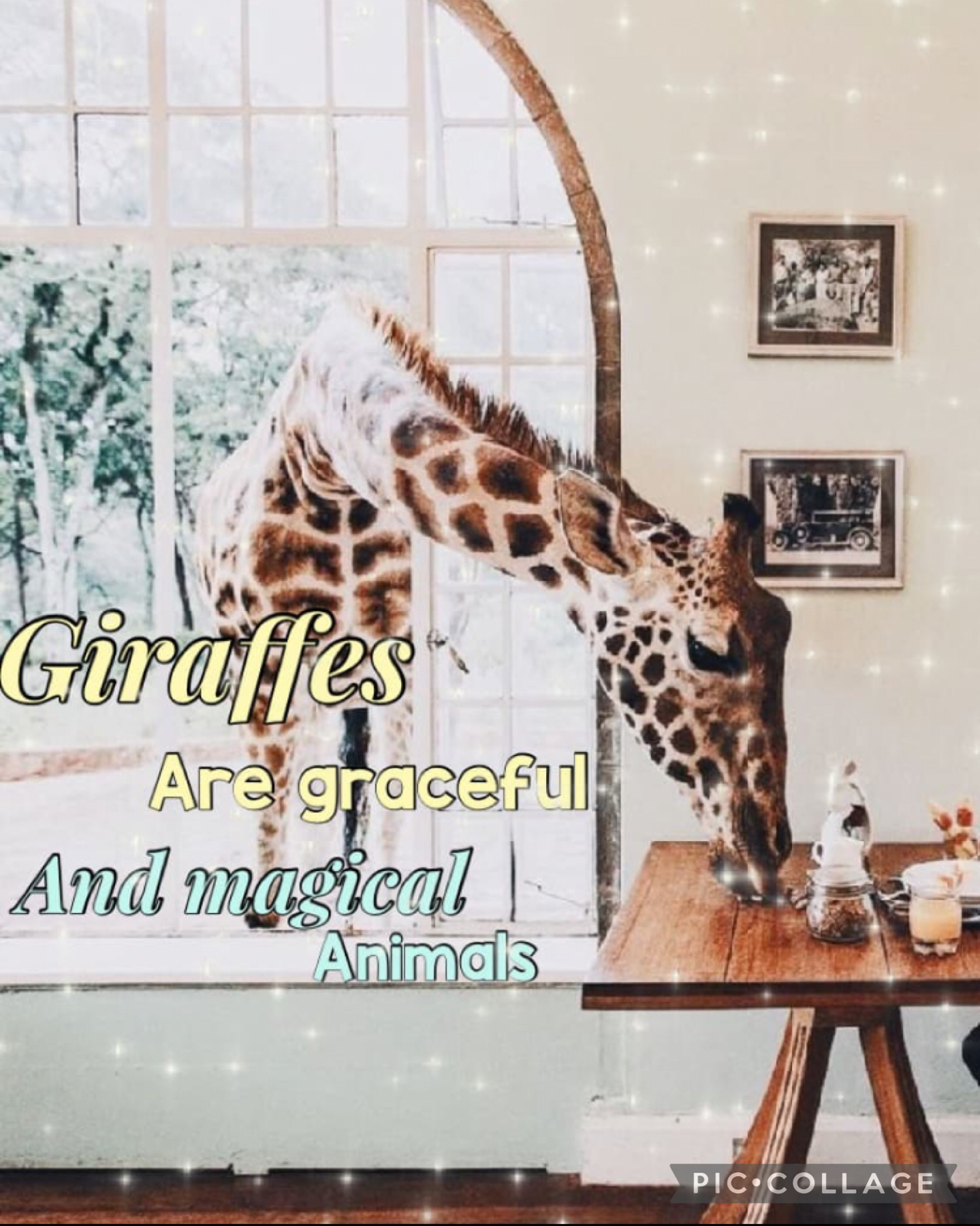 Giraffe aesthetic collage for -Sunflower-Dreams- Safari games 24.3.21