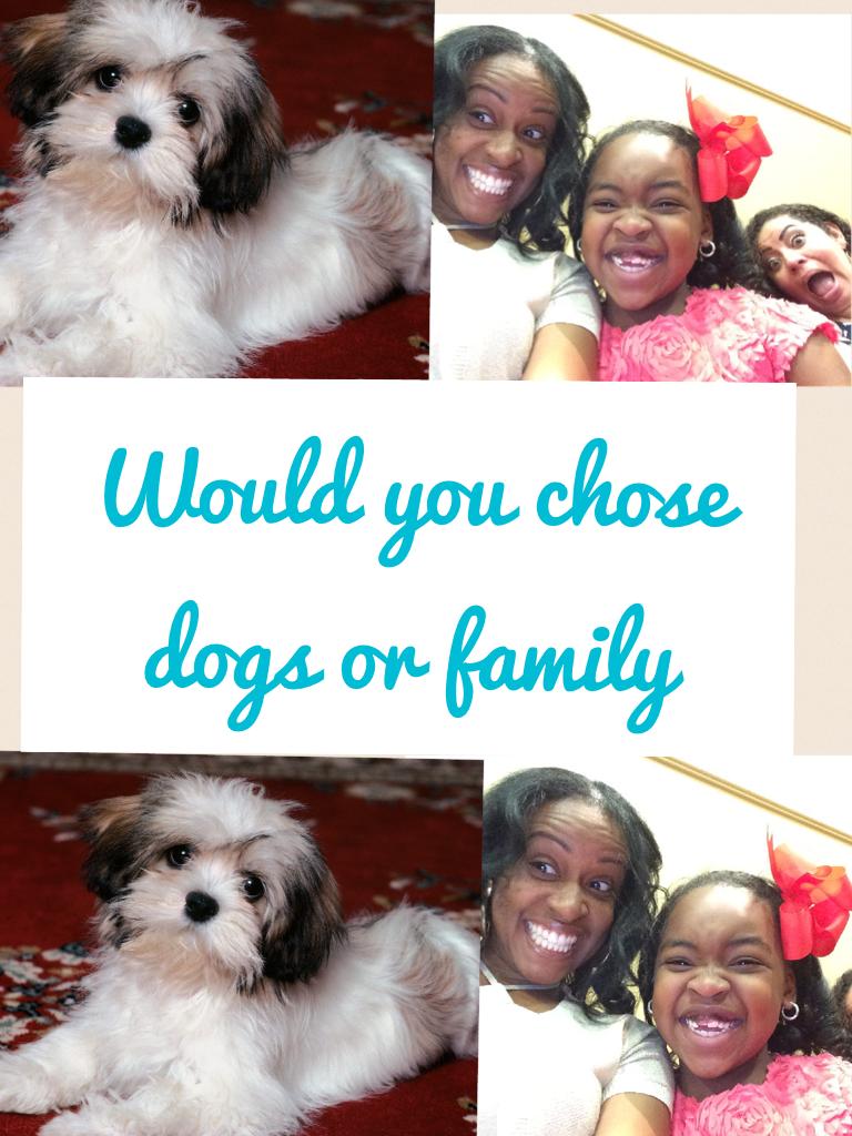 Would you chose dogs or family? Comment down below 