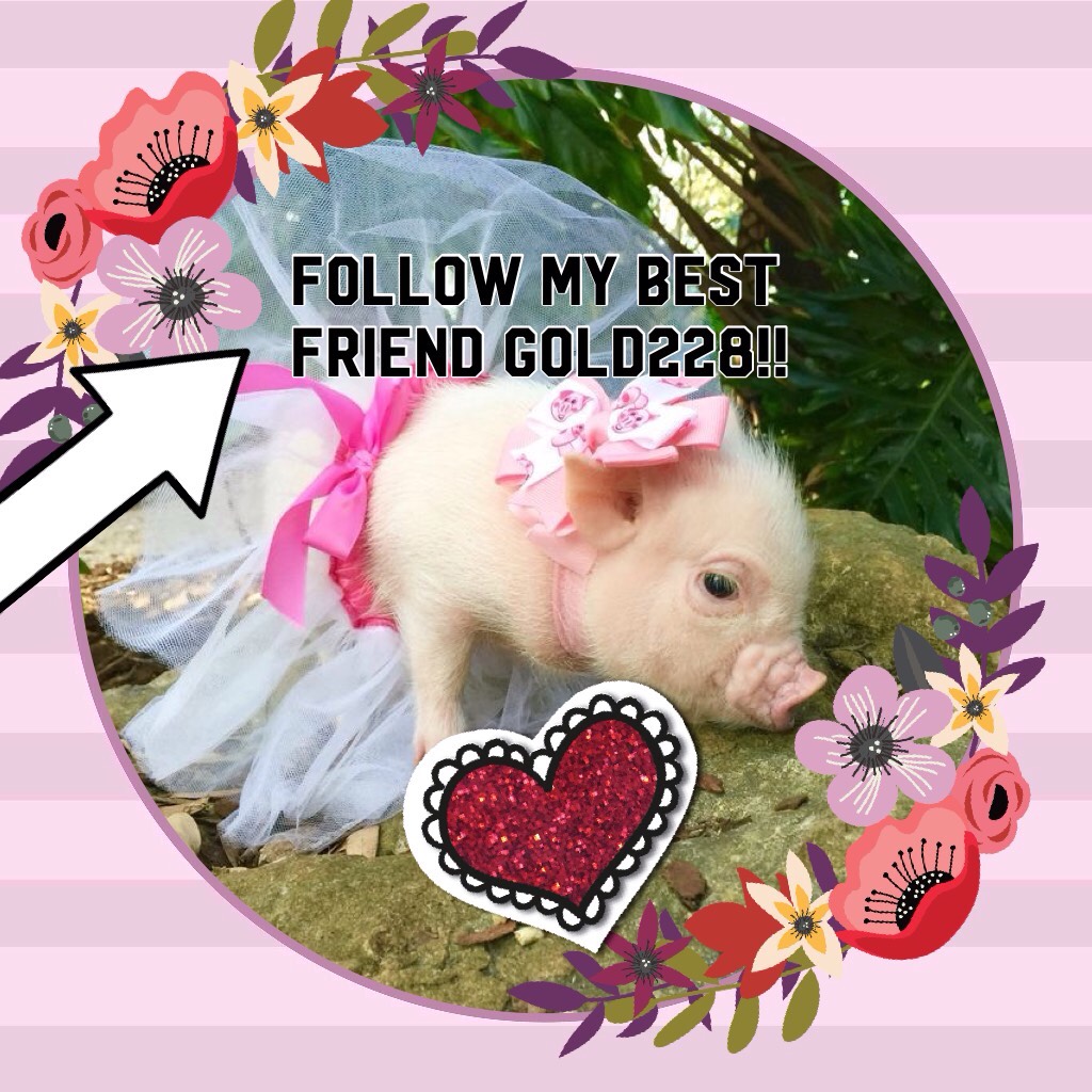 Follow my best friend gold228!!