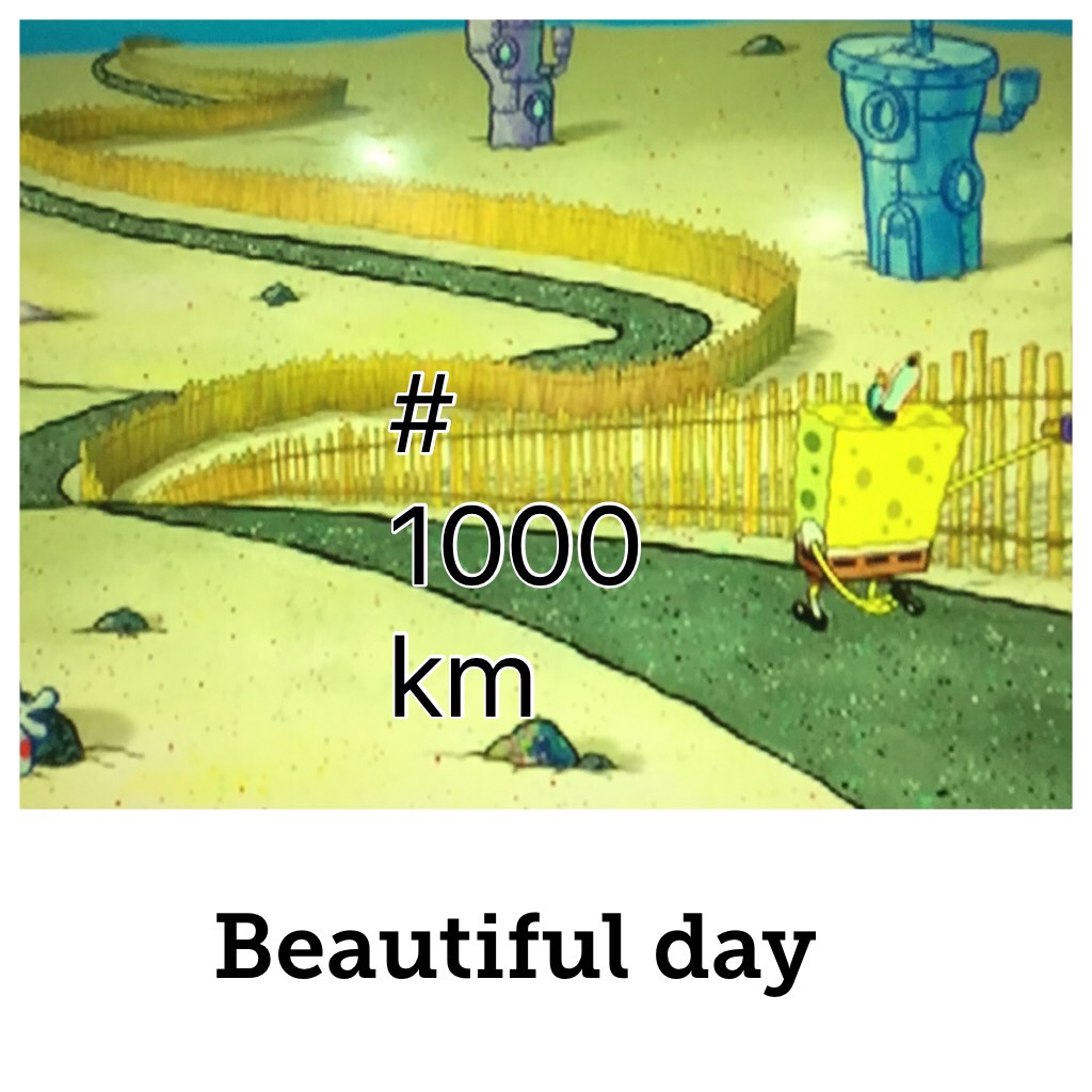 # 1000 km