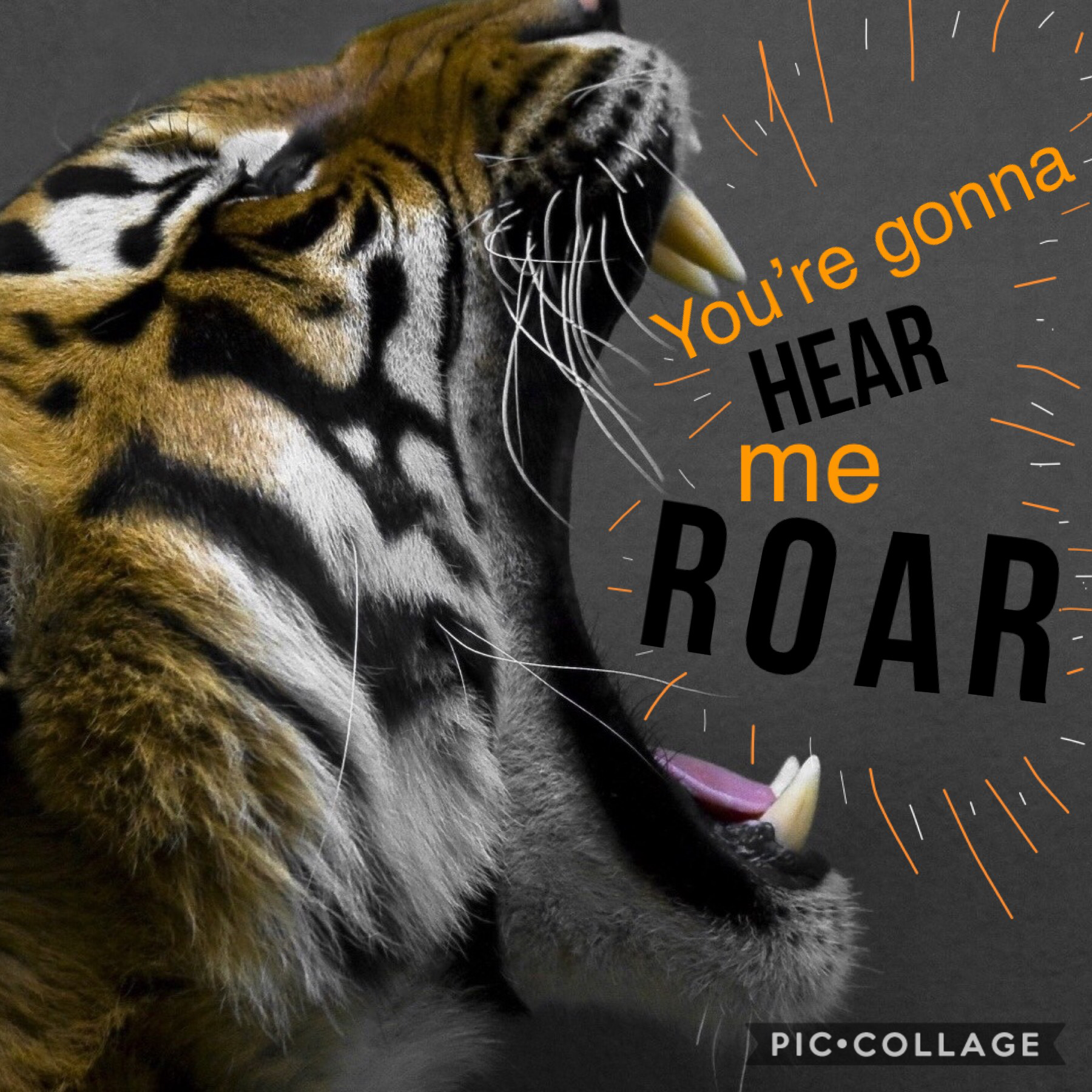 🐯 Tap the Tigers 🐯
Ok we’re already almost halfway thru the themes. This the the 4th one! Roarrrr 🐯🖤