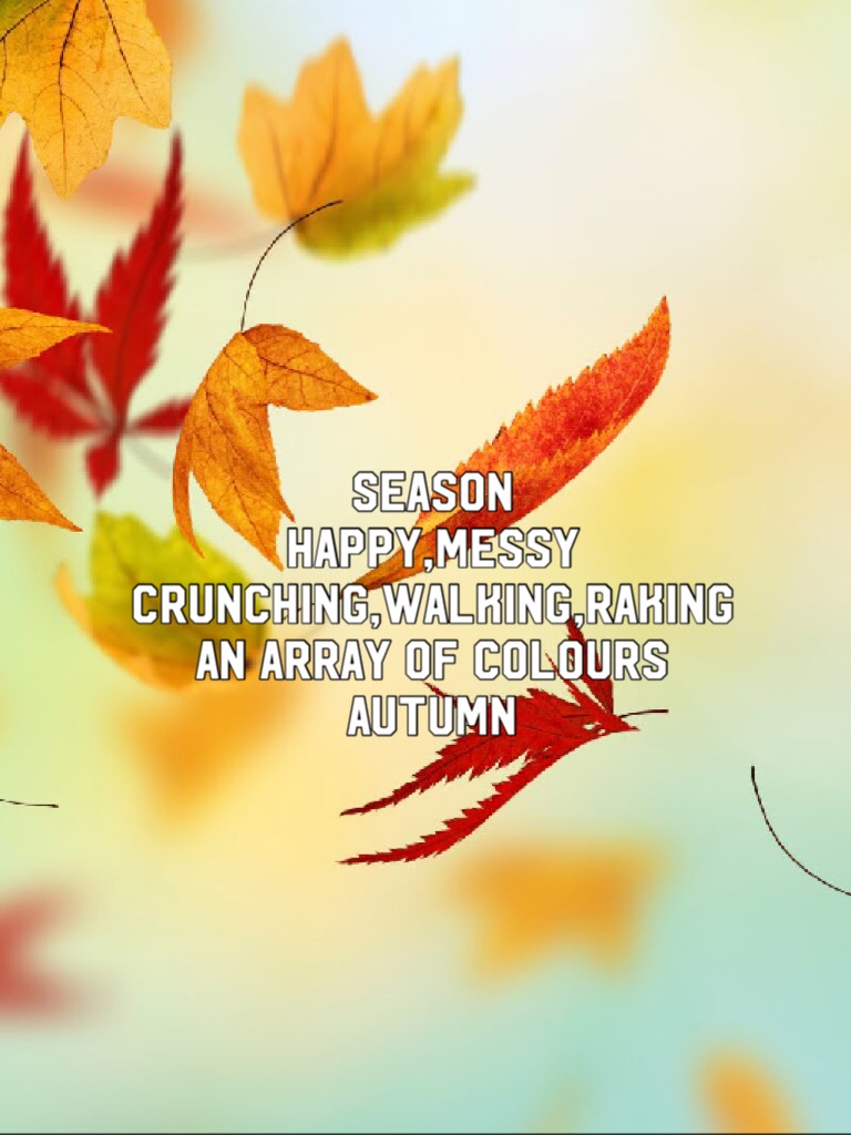 Season
Happy,messy
Crunching,walking,raking 
An array of colours 
Autumn 