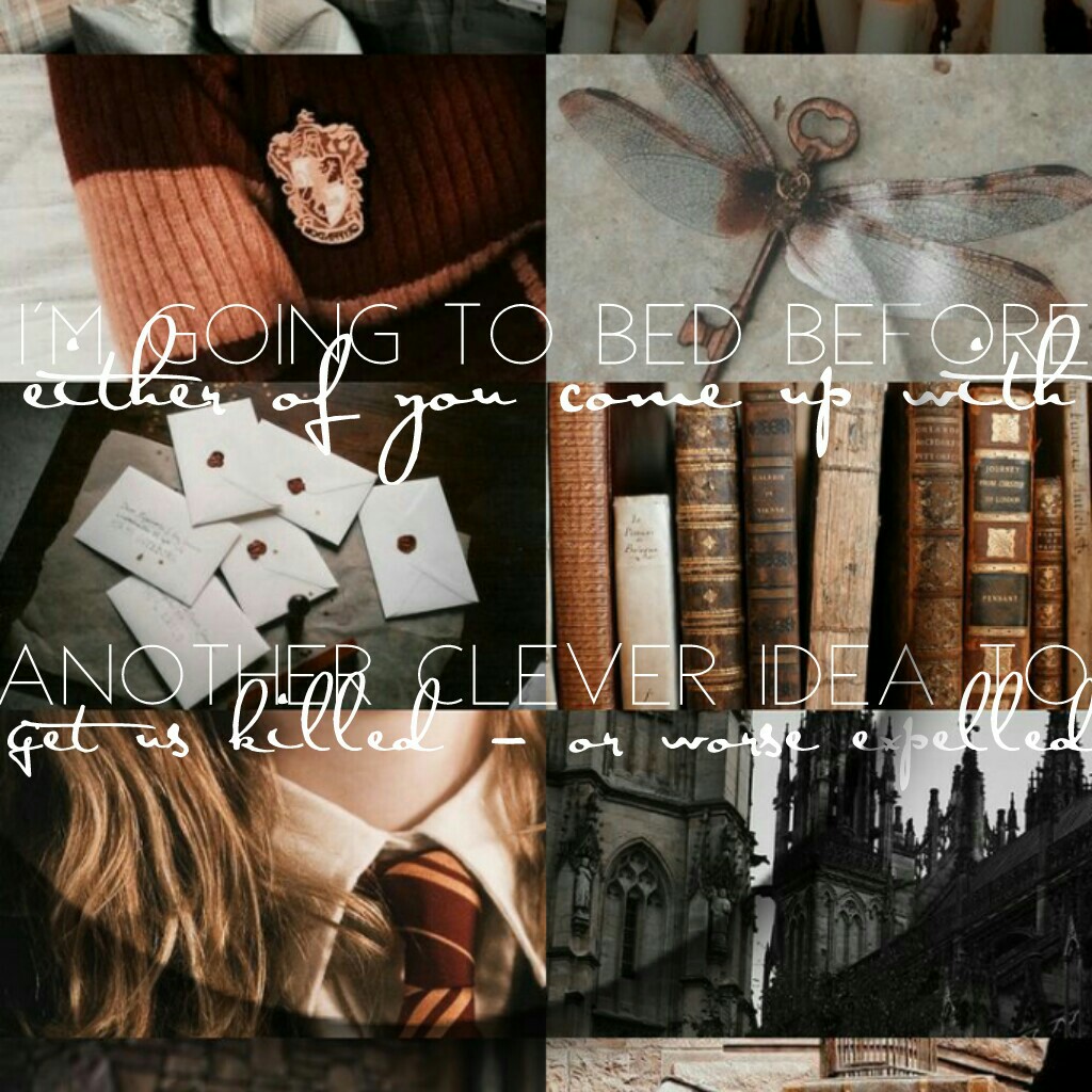 some gryffindor aesthetic for you...