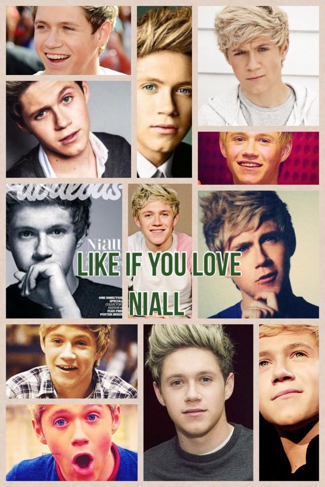 Like if you love Niall 