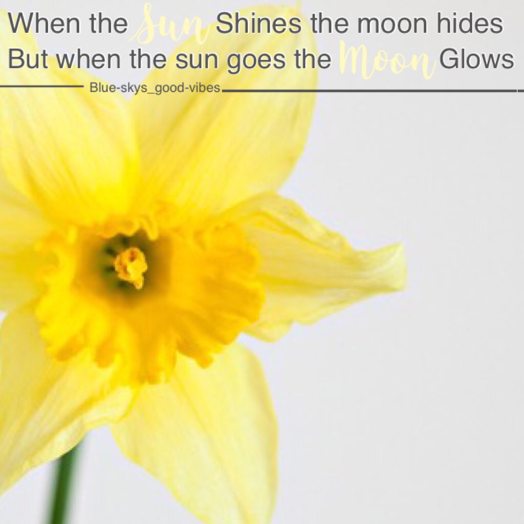 🌼clicky click🌼
I love daffodils and flowers plus great quotes(love this!!!!!)
✌️😇😊💕