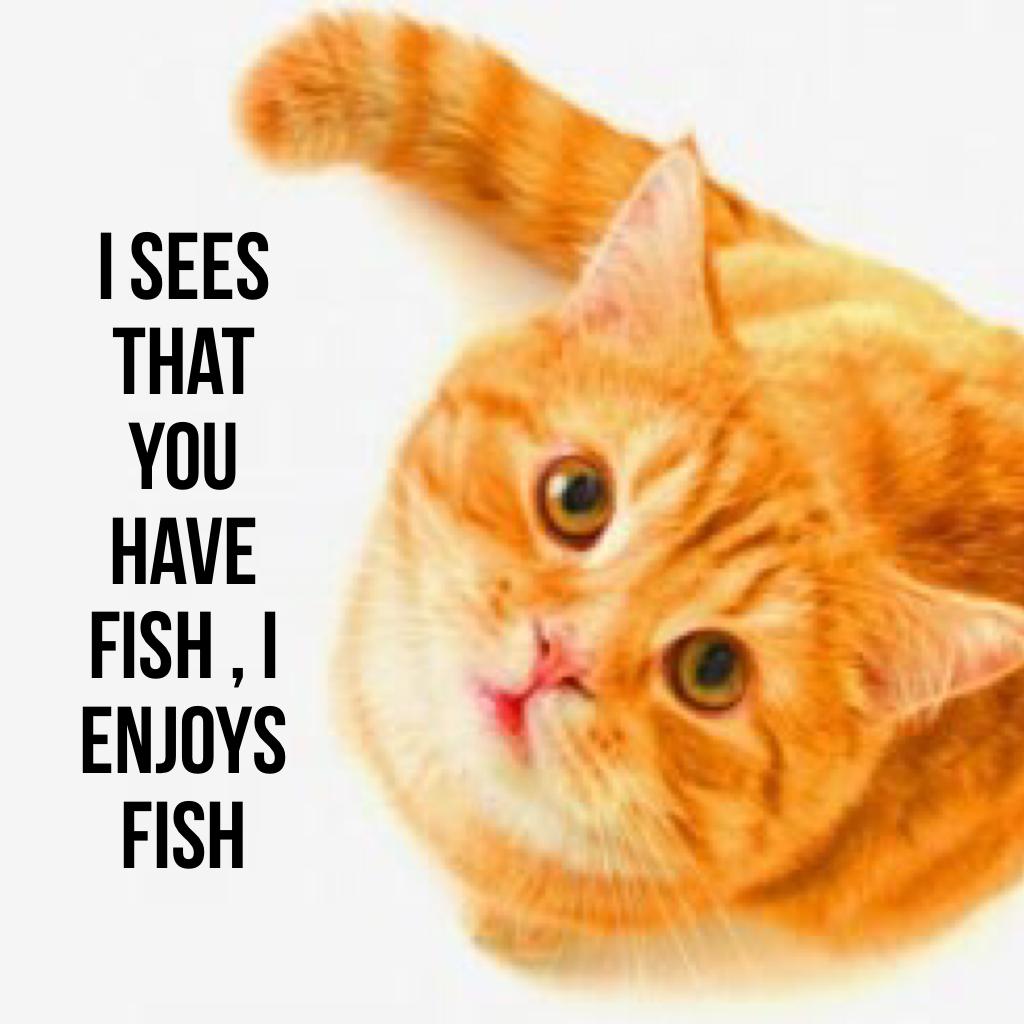 I sees that you have fish , I enjoys fish