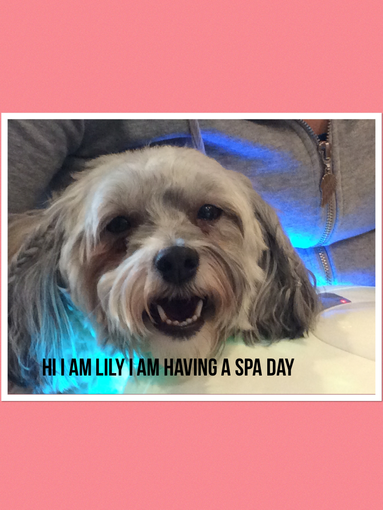 Hi I am lily I am having a spa day!😀