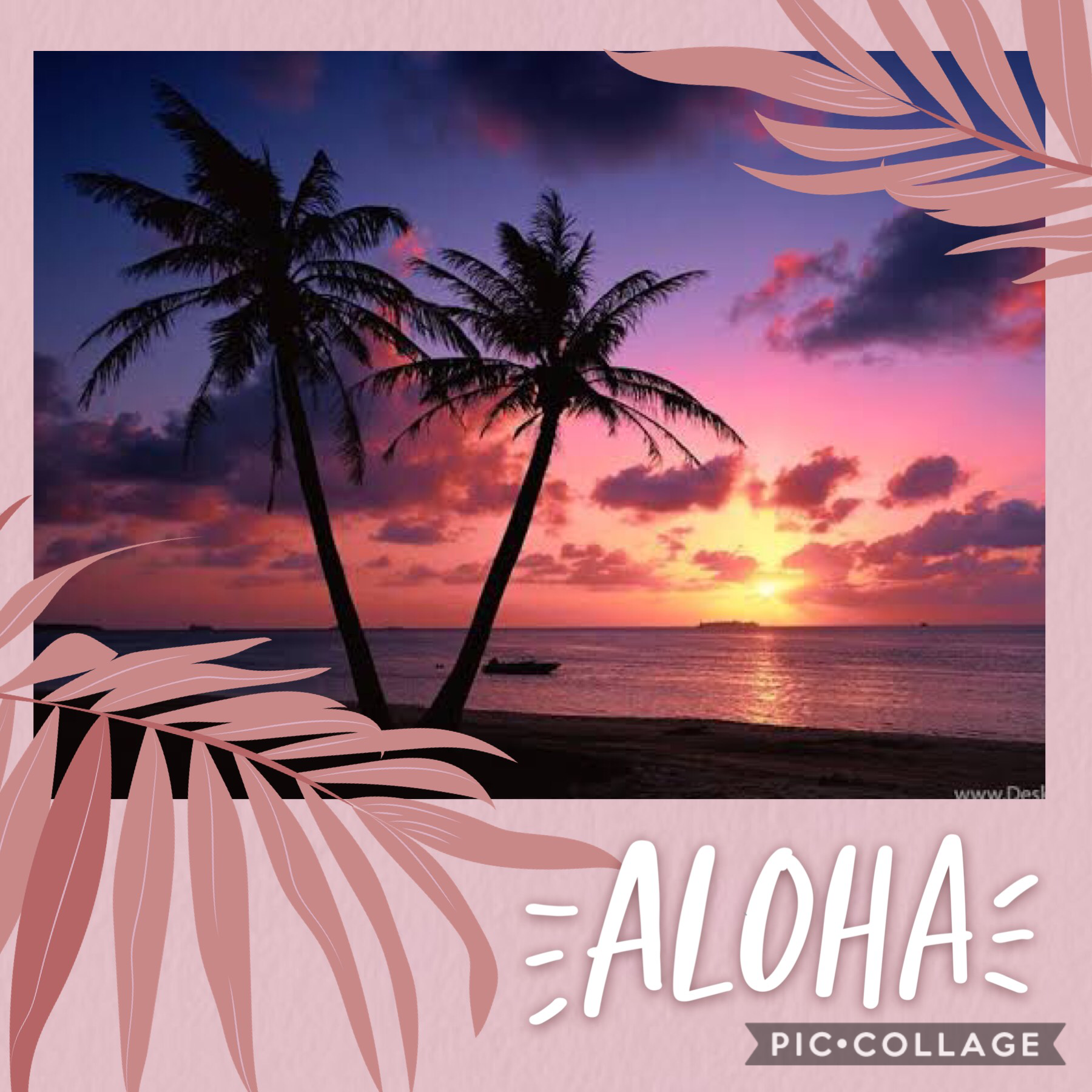 Aloha 😜