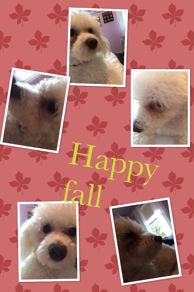 Happy fall