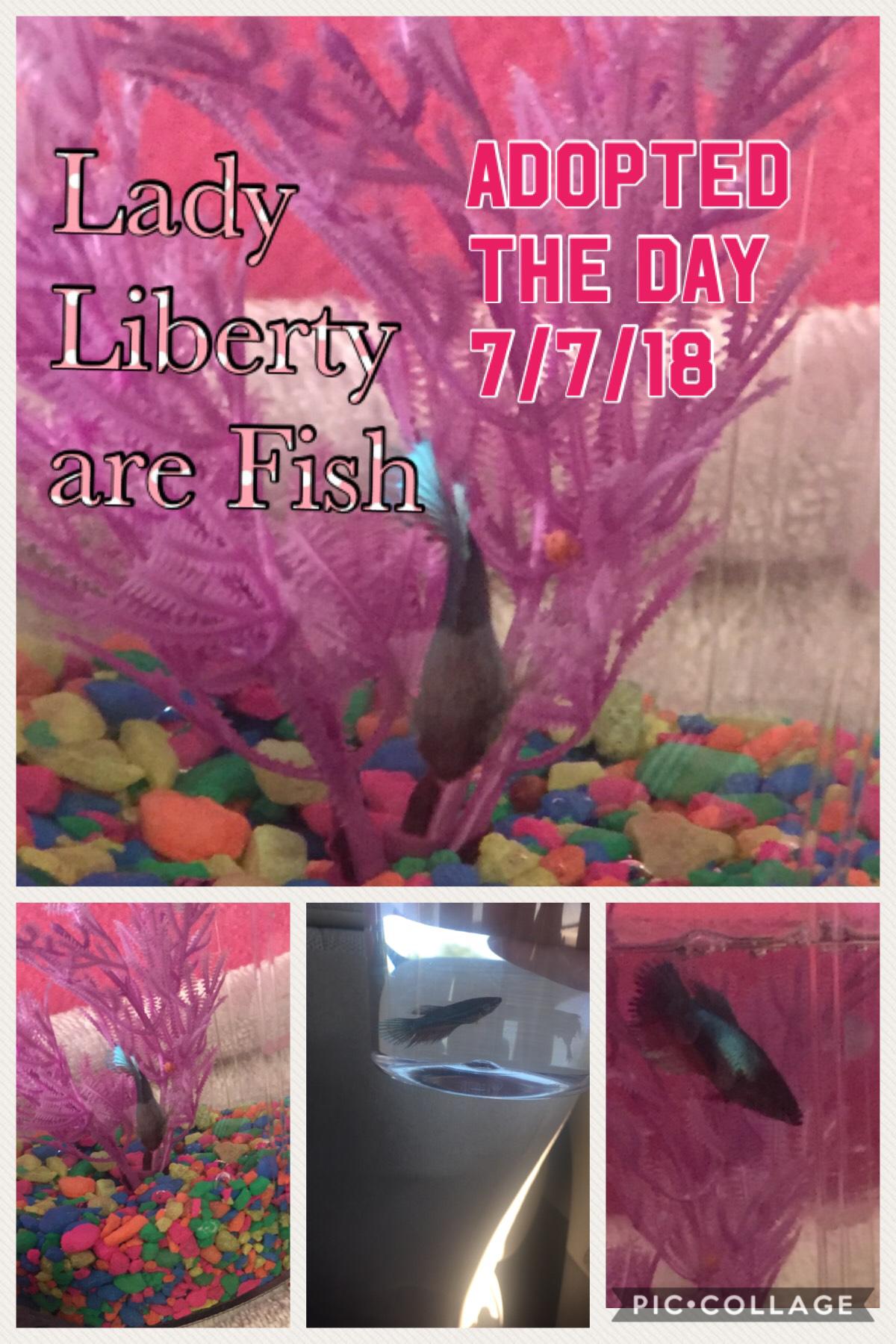 Taps to my amazing fish Liberty 