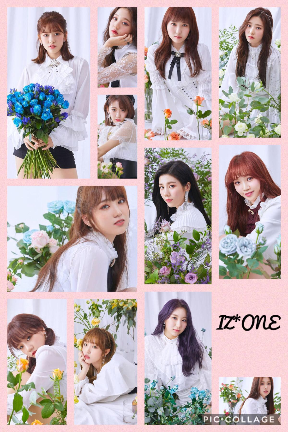 IZ*ONE (click)
❤️❤️❤️❤️❤️
IZ*ONE debut with the song La Vie En rose
❤️❤️❤️❤️❤️
If you don’t listen to IZ*ONE you need to do it,
They where in a survival show, Produce 48!
❤️❤️❤️❤️❤️

IZ*ONE Fighting! 
