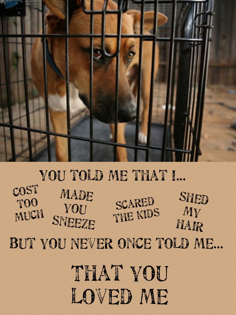 Adopt a shelter dog month. Stop cruelty to dogs!!