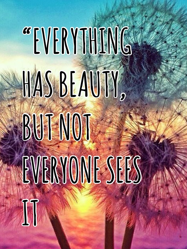 “EVERYTHING HAS BEAUTY, BUT NOT EVERYONE SEES IT