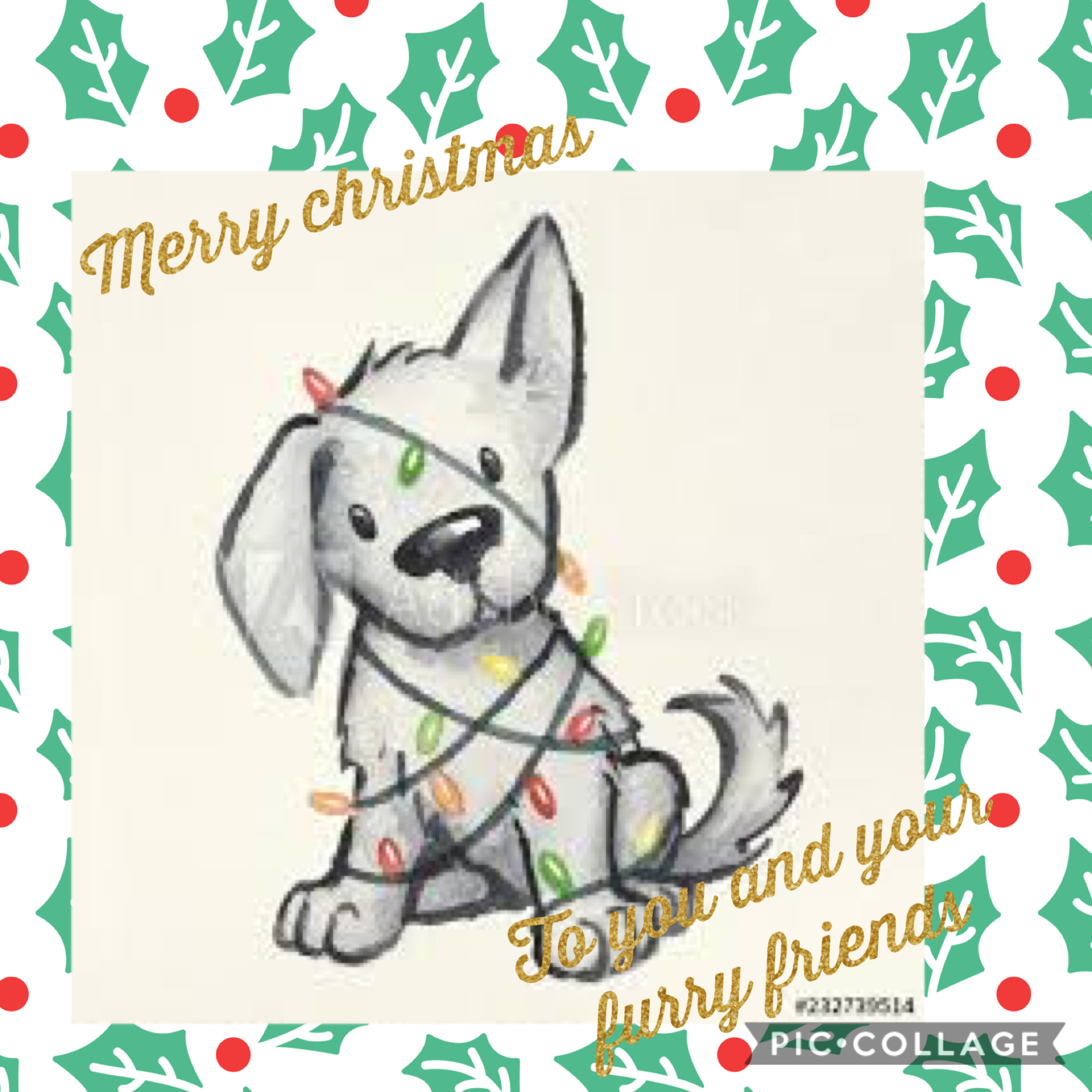 Wish you guys a merry christmas to you and your furry friends