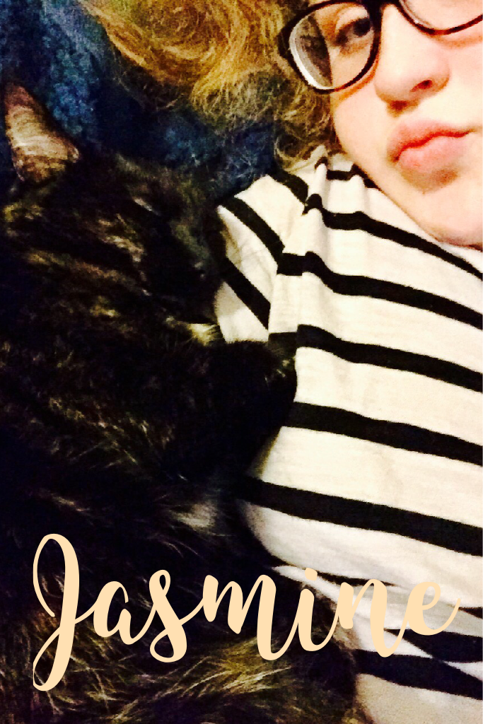 Jasmine- My cat 😸💛