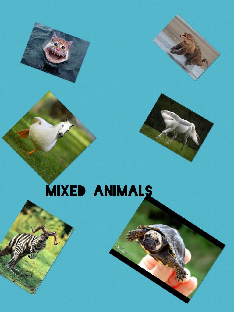 Mixed animals