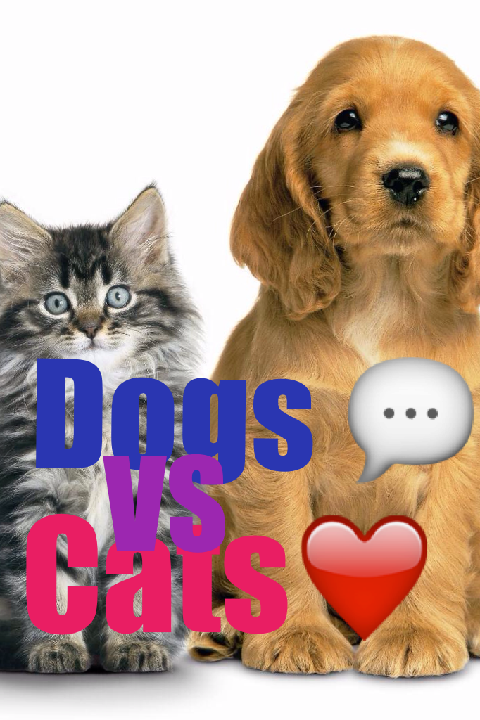 Dogs vs cats