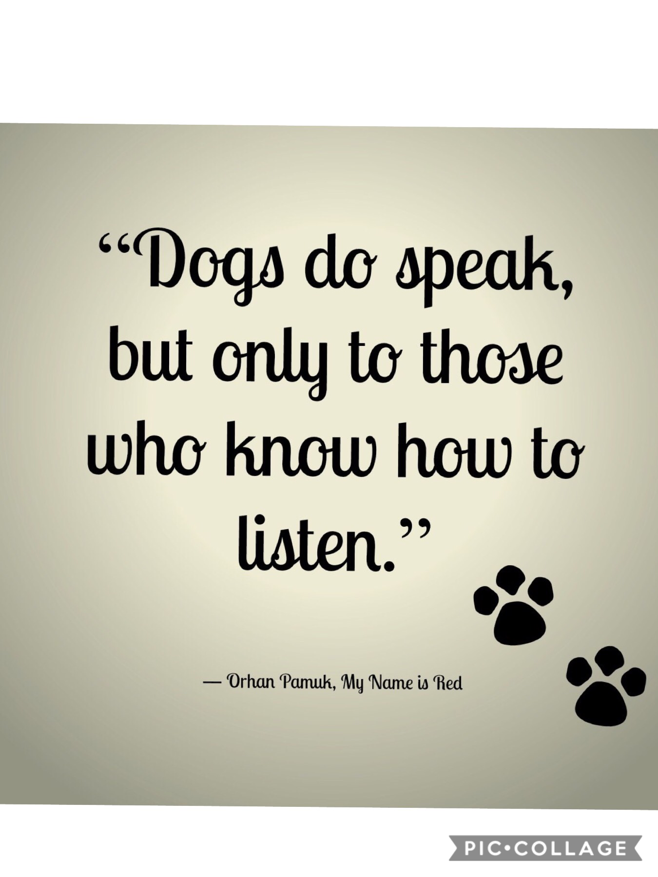 Quote of the day 🐾